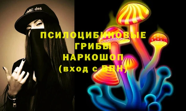 герыч Алексин
