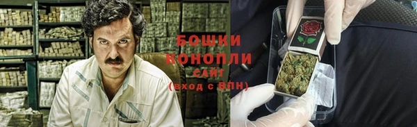 тгк Дмитров