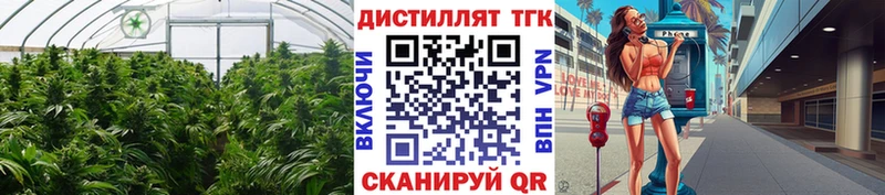 Дистиллят ТГК Wax  Поронайск 